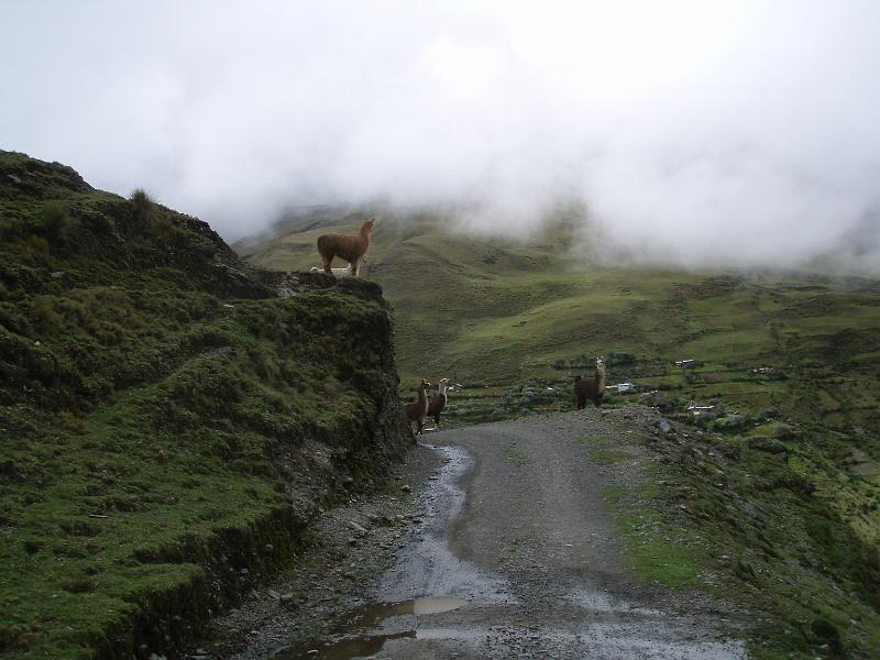 Illampu Trek (12).JPG